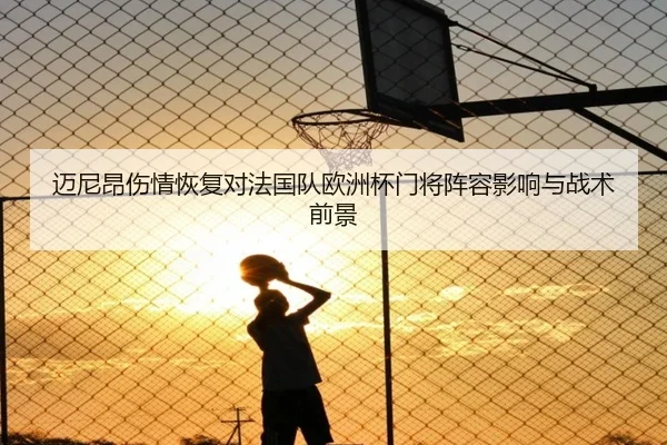迈尼昂伤情恢复对法国队欧洲杯门将阵容影响与战术前景