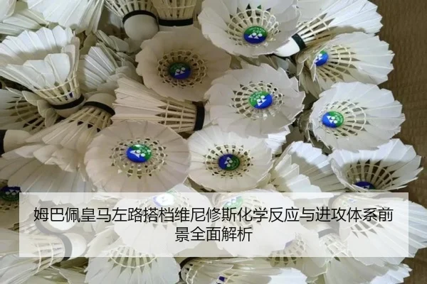 姆巴佩皇马左路搭档维尼修斯化学反应与进攻体系前景全面解析