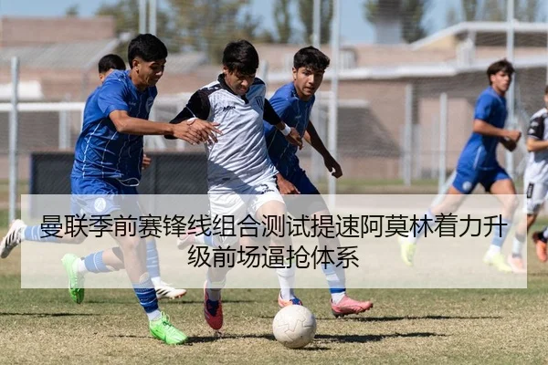 img_1783778495818_709_1_388.jpg